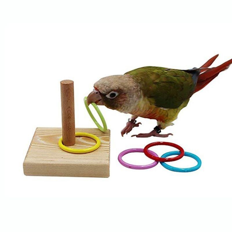 Gymnastic Ring Wood - Bird Training Ring Toy Parrot Educational