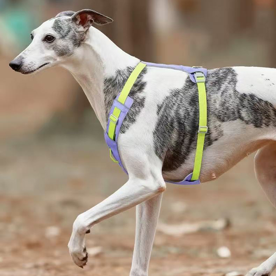 New Pet Dog Harness Light Weig - Crossfit Vest ulasan dan harga