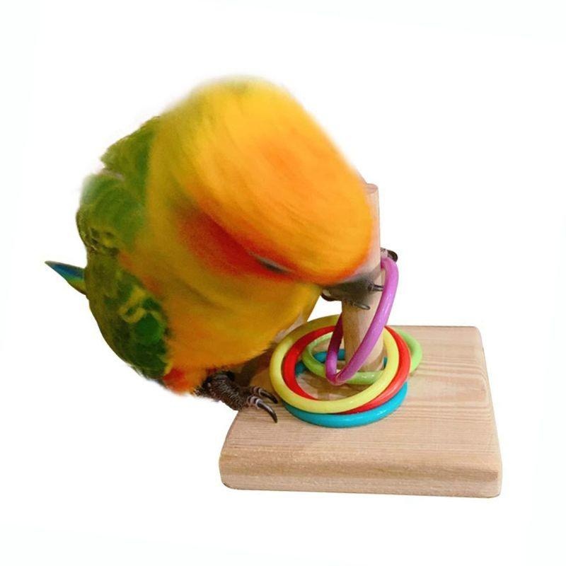 Bird Training Ring Toy Parrot  - Gymnastic Ring Wood ulasan dan harga